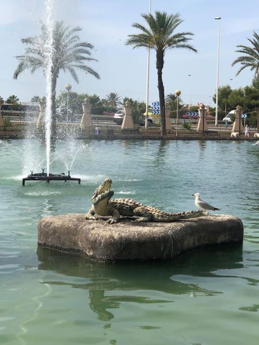 Nice Apartment Near The Park Torrevieja Exteriör bild
