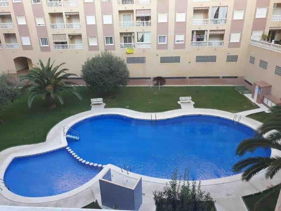 Nice Apartment Near The Park Torrevieja Exteriör bild