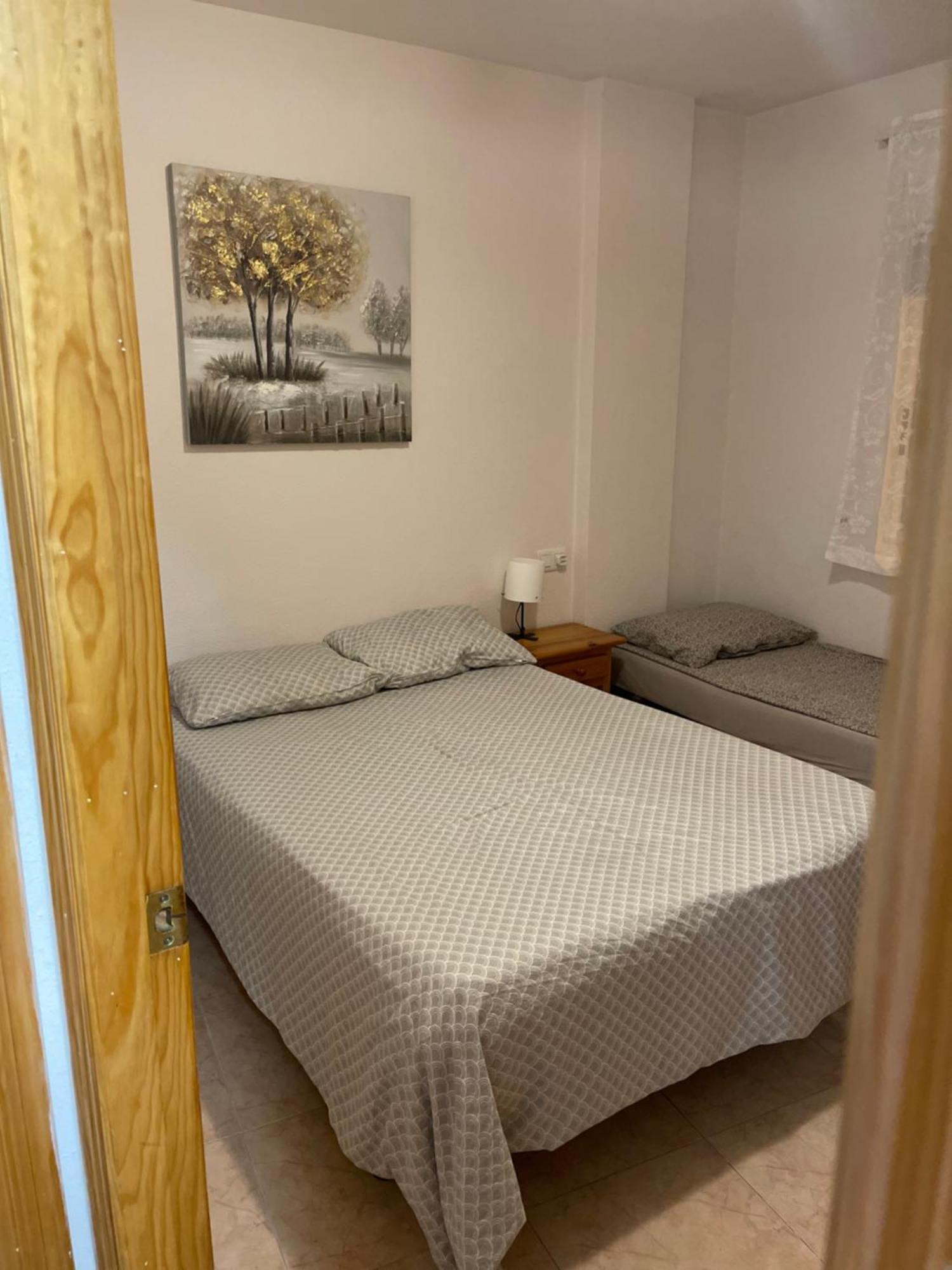 Nice Apartment Near The Park Torrevieja Exteriör bild